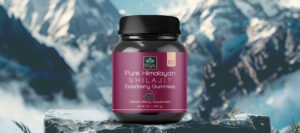 Organic Shilajit: The Purest Form of Natural Wellness | Kaya Puressence