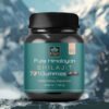 Kayapuressence’s Himalayan Shilajit, presented in a pristine mountain setting, highlights its purity, quality, and natural health benefits.